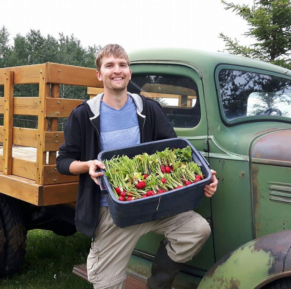 Lily Plain Gardens | Duck Lake No. 463, SK S0J 1G0, Canada | Phone: (306) 314-7746