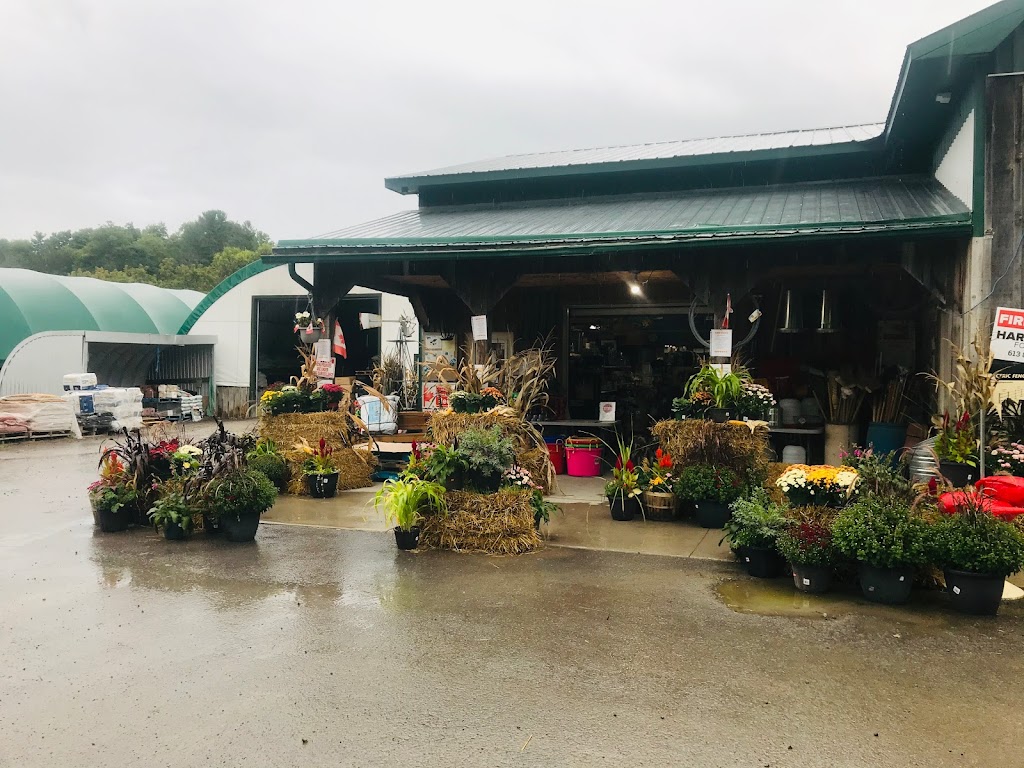 5 Span Feed & Seed Inc | 2488 County Rd No 29, Pakenham, ON K0A 2X0, Canada | Phone: (613) 624-5569