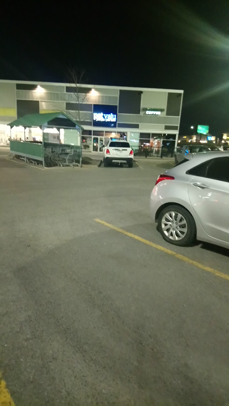 Loblaws Plaza | 1343 Ottawa Regional Rd 16, Ottawa, ON K1A 0C5, Canada | Phone: (613) 226-6001