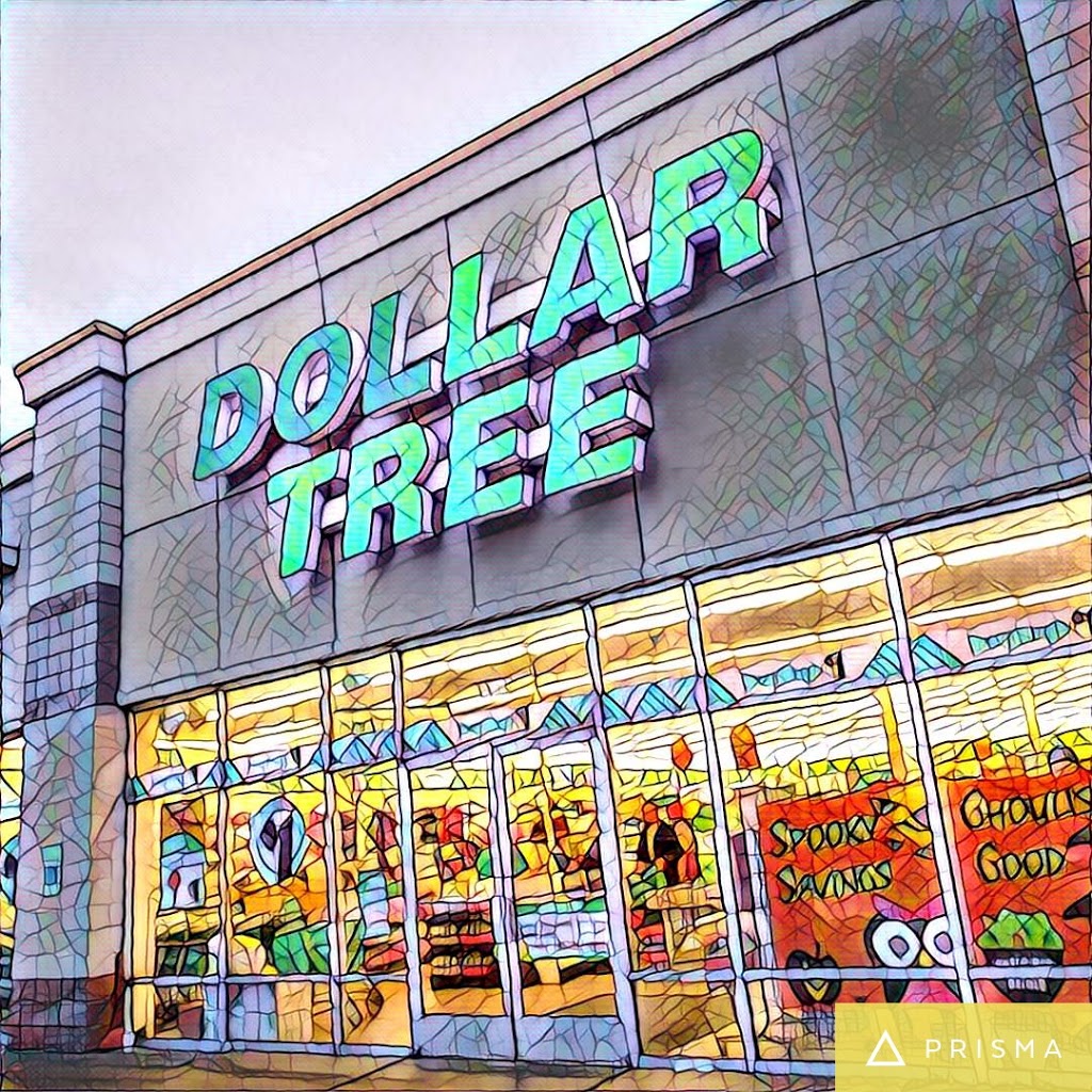 Dollar Tree | 4173 24th Ave, Fort Gratiot Twp, MI 48059, USA | Phone: (810) 385-1252