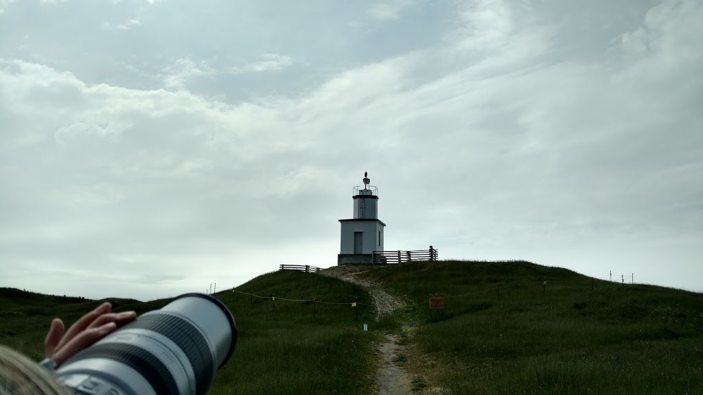 LIGHTHOUSE SAN JUAN | 339 Lighthouse Ln, Friday Harbor, WA 98250, USA | Phone: (360) 298-2577