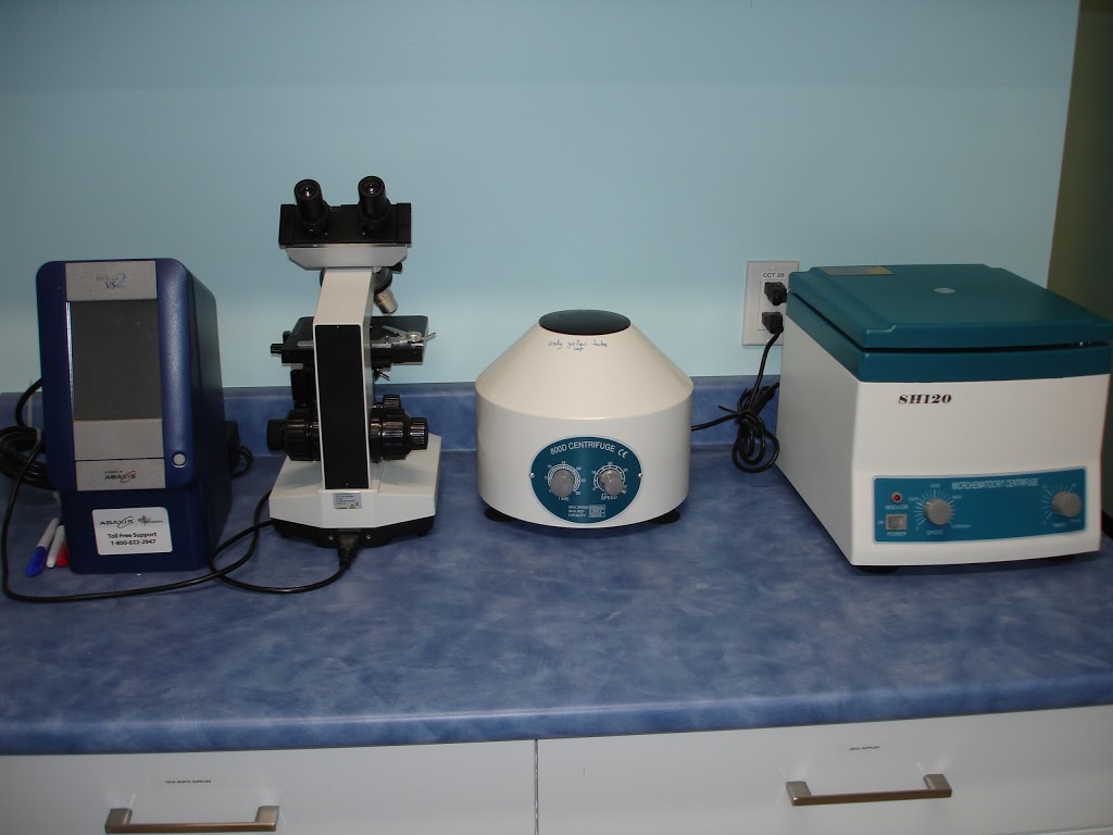 Vic West Pet Hospital | 526 Esquimalt Rd, Victoria, BC V9A 3L4, Canada | Phone: (778) 265-4500