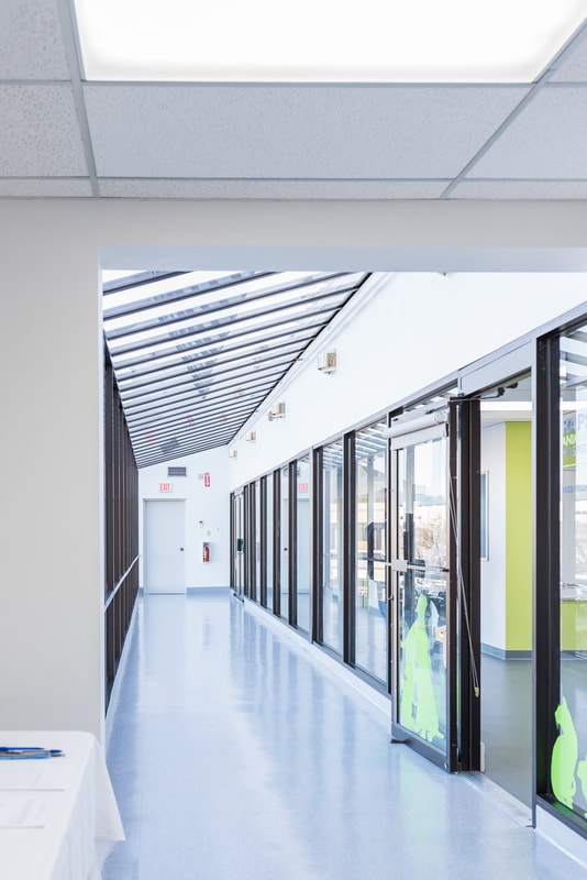 RAPS Animal Hospital | 13340 Smallwood Pl #205, Richmond, BC V6V 1W8, Canada | Phone: (604) 242-1666