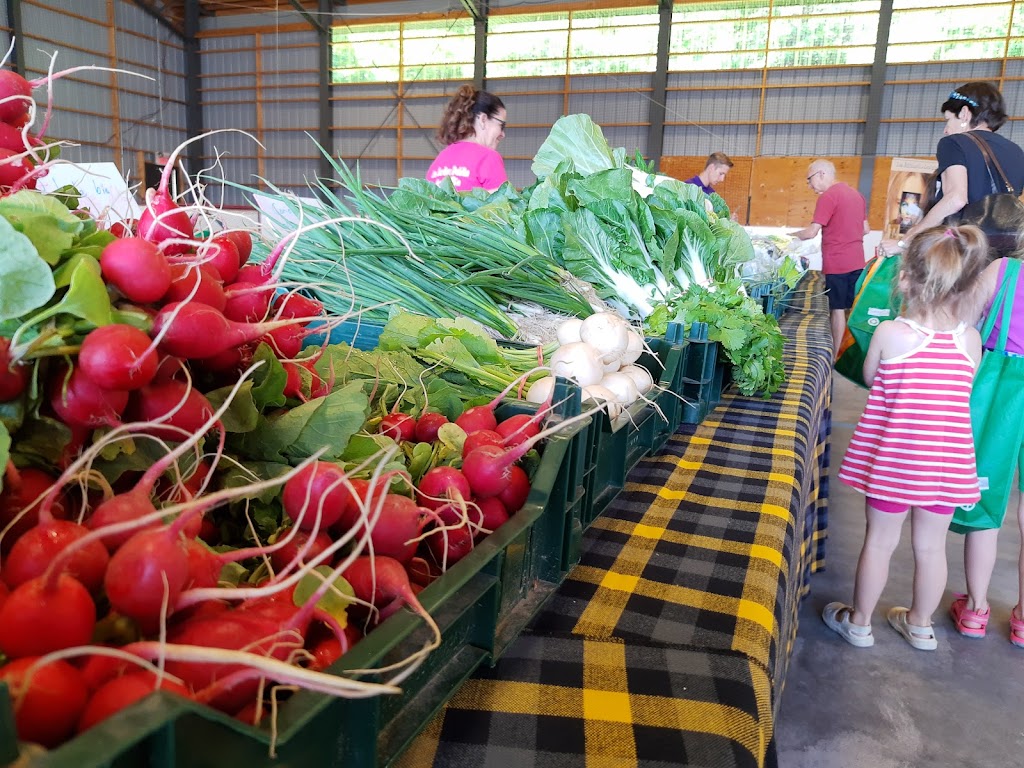 Marché Public dInverness | 1862 Rte Dublin, Inverness, QC G0S 1K0, Canada | Phone: (418) 453-2512