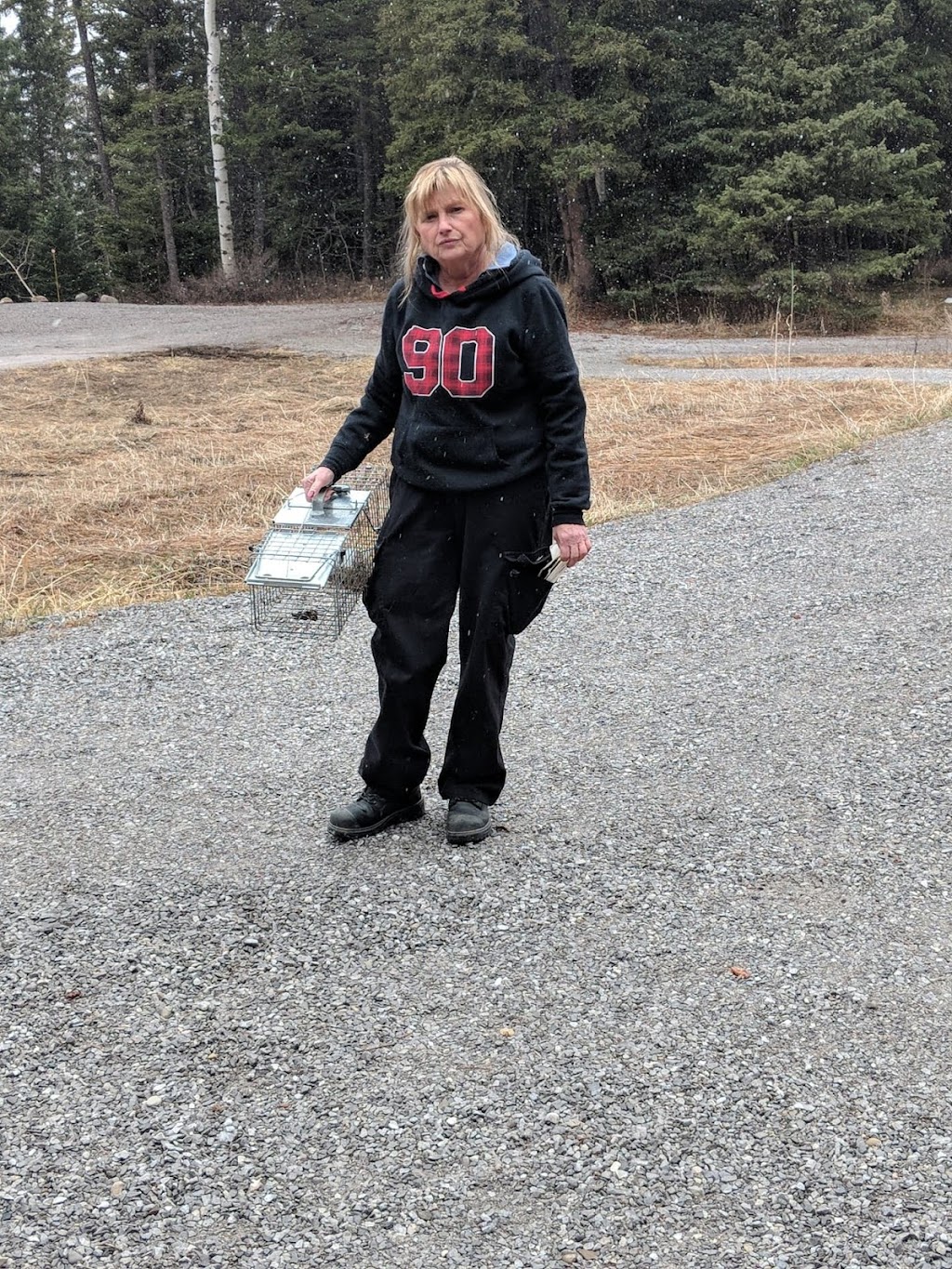 MacLeod Pest Control | 1304 13 Ave N, Lethbridge, AB T1H 1T4, Canada | Phone: (403) 393-7543
