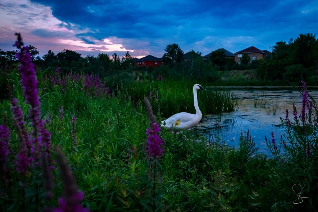 Fourteeen Mile Creek Lands | Oakville, ON L6M 3J7, Canada