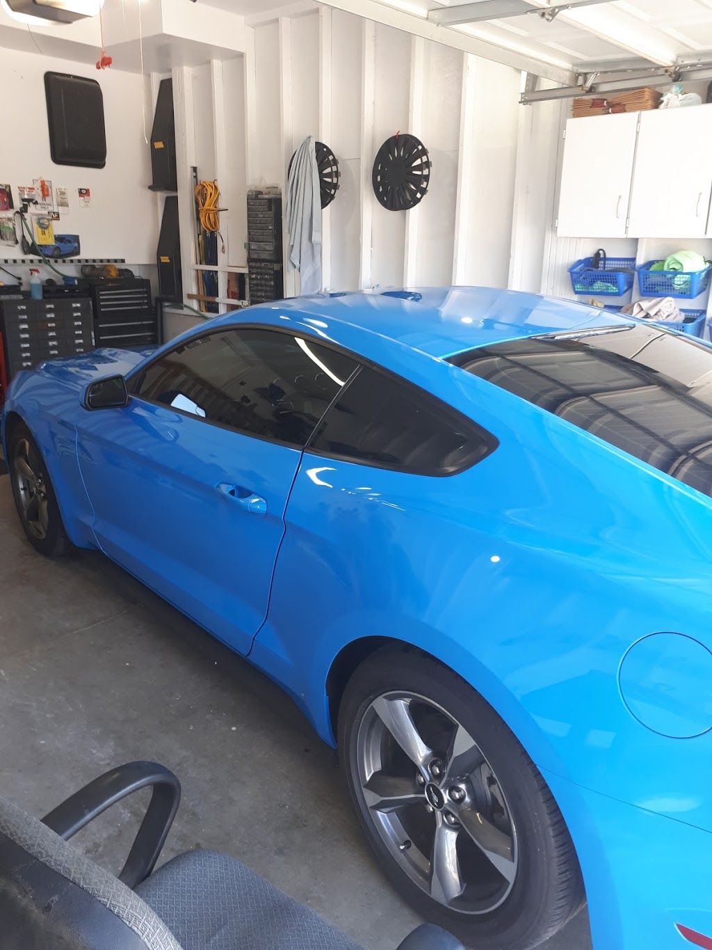 Exclusive Window Tinting Solutions | 19 Robb Blvd #2, Orangeville, ON L9W 3L1, Canada | Phone: (519) 217-1976