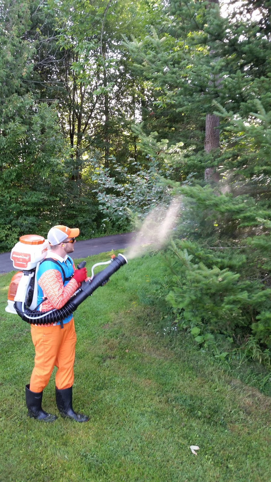 Mosquito.Buzz Ottawa West | 2046 Carp Rd, Carp, ON K0A 1L0, Canada | Phone: (613) 231-2899