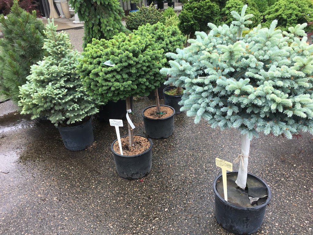 Haights Garden Centre & Landscaping | 1446 Dundas St, Woodstock, ON N4S 7V9, Canada | Phone: (519) 539-9548