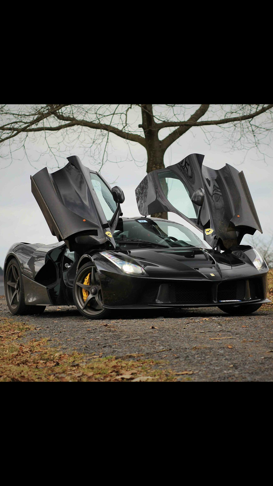 Southside Auto Center LTD. | 3021 Lake Shore Blvd W, Etobicoke, ON M8V 1K2, Canada | Phone: (416) 255-8885