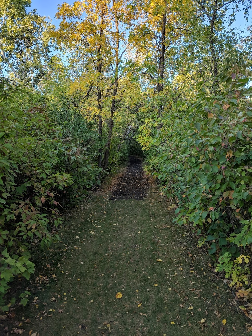 Little Mountain Park | Farmer Avenue, Stony Mountain, MB R0C 3A0, Canada