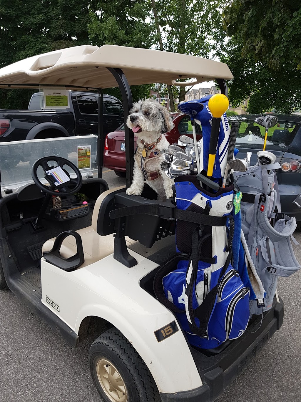 Pickering Golf Club | 2575 William Jackson Dr, Pickering, ON L1V 2P8, Canada | Phone: (905) 683-3822