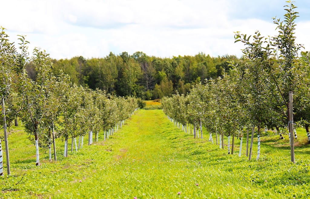 Verger St-Marc | 981 Chem. Lafrenière, Saint-Marc-sur-Richelieu, QC J0L 2E0, Canada | Phone: (450) 464-6453