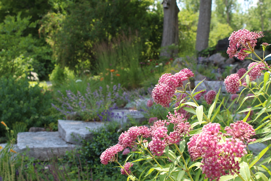 Lavish Gardens | 39 Mill St, Stirling, ON K0K 3E0, Canada | Phone: (613) 970-4682