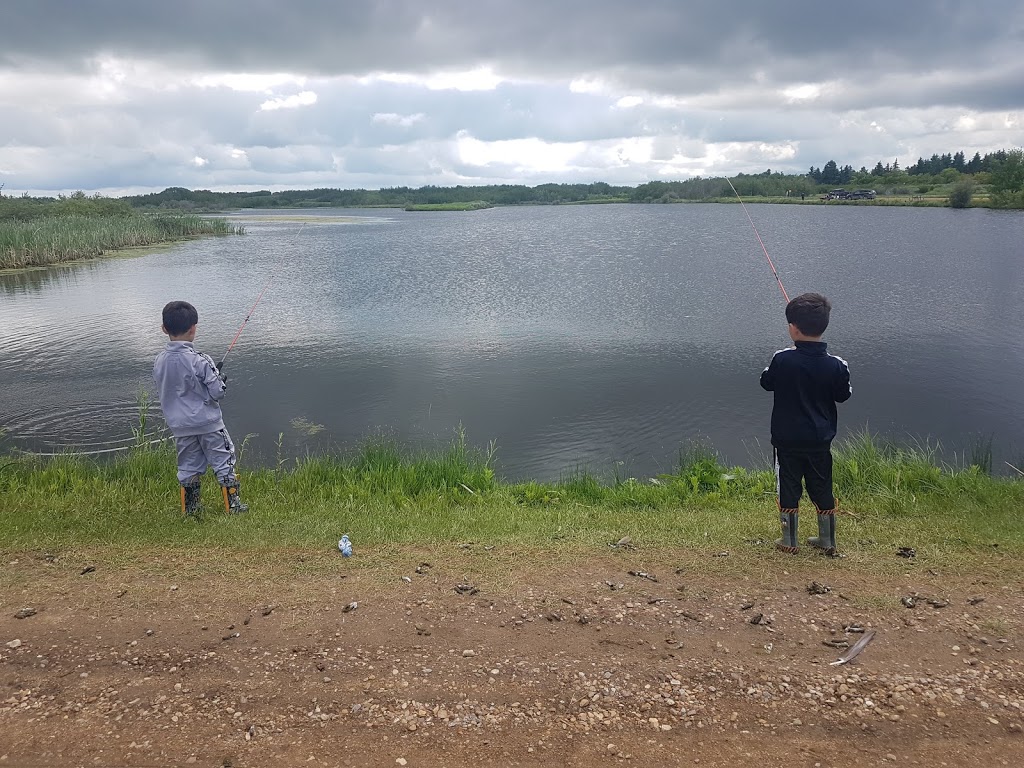 Black Nugget Lake Campground | 49117 Range Rd 182, Ryley, AB T0B 4A0, Canada | Phone: (780) 663-2421