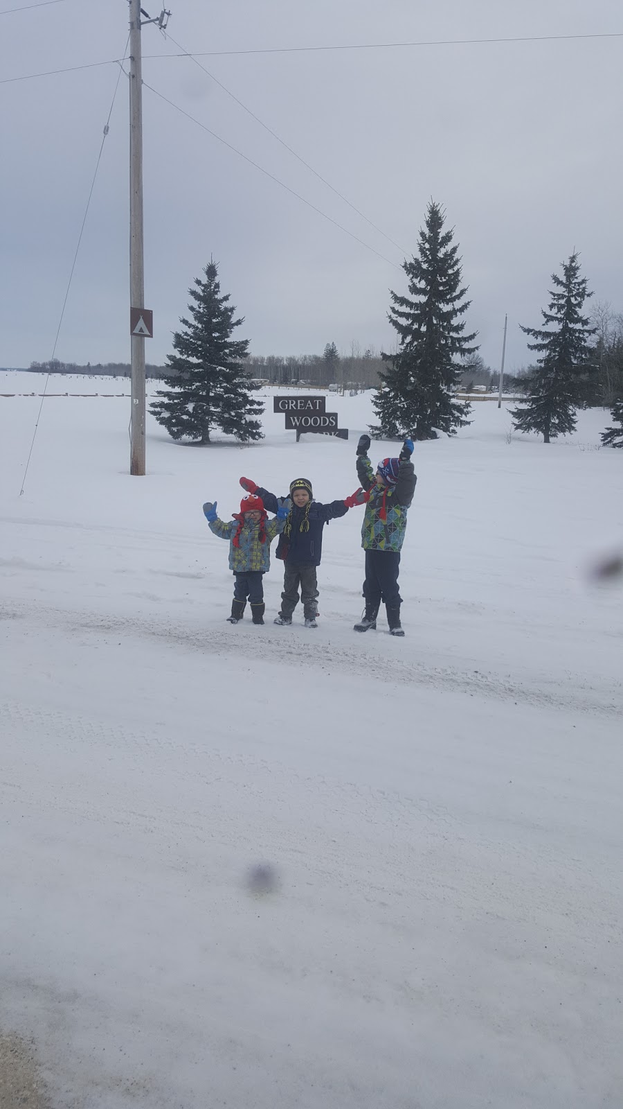 Great Woods | 73033 Rd 43E, Beausejour, MB R0E 0C0, Canada | Phone: (204) 268-2814