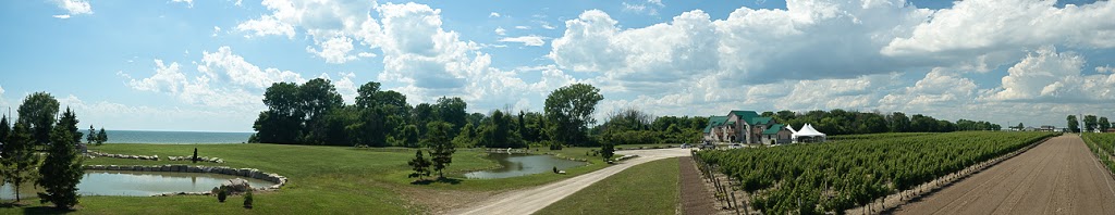 Sprucewood Shores Estate Winery | 7258 Essex County Rd 50 RR #5, Harrow, ON N0R 1G0, Canada | Phone: (519) 738-9253