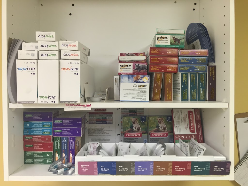 Sears Animal Hospital & Pet Rehabilitation | 87 Wharncliffe Rd S, London, ON N6J 2K2, Canada | Phone: (519) 661-0496