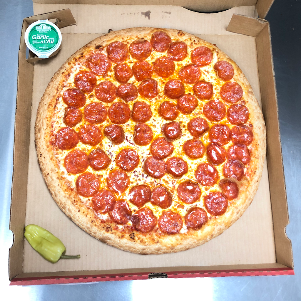 Papa Johns Pizza | 184 Hamilton Regional Rd 8, Stoney Creek, ON L8G 1C3, Canada | Phone: (365) 218-0051