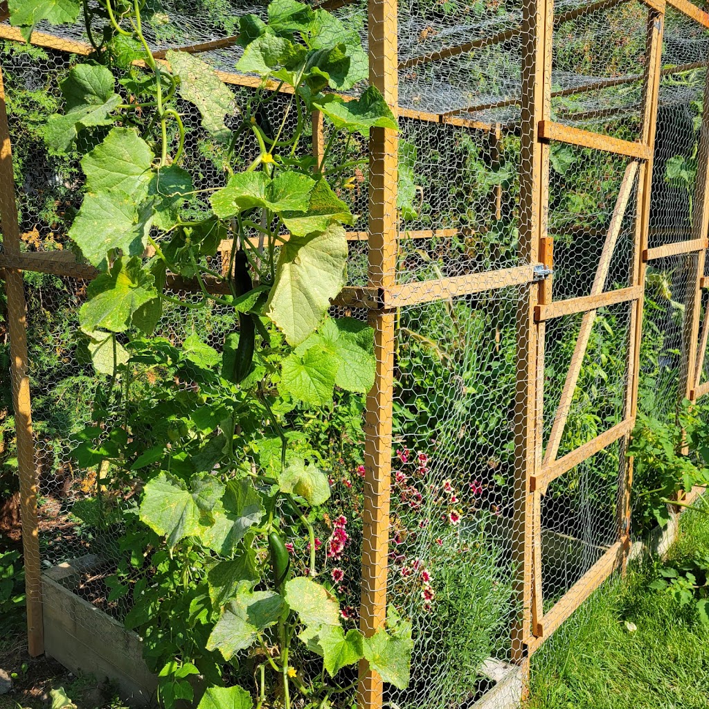 The Gardening Lady | 37 Brookdale Crescent, Whitby, ON L1P 1J4, Canada | Phone: (416) 788-1974
