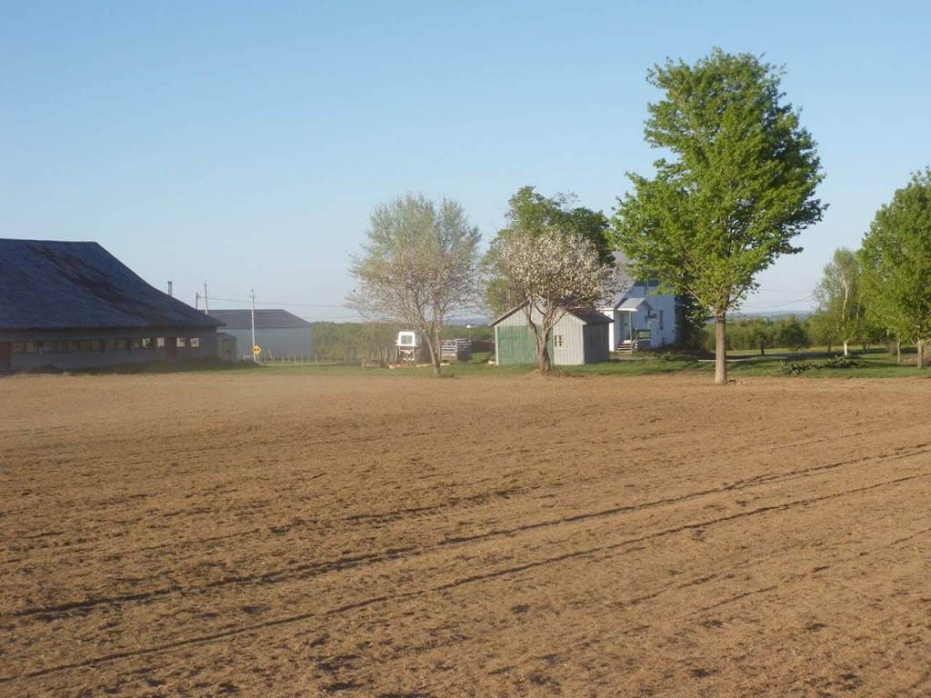 Ferme Milvie Senc | 620 rang 9 St-benoit-Lâbre, Saint-Benoît-Labre, QC G0M 1P0, Canada | Phone: (418) 228-7399