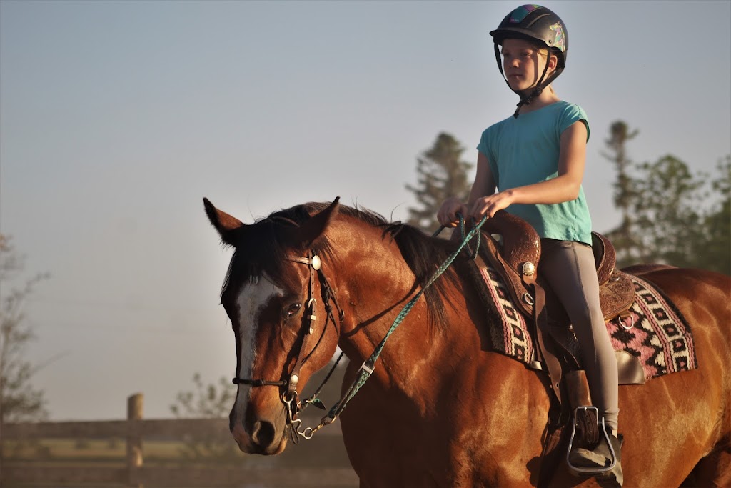 ABC Equestrian | 524239 Curry Rd, Ingersoll, ON N5C 3J8, Canada | Phone: (519) 709-1439