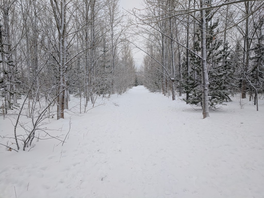 Silver Springs off-leash park | 6231 Silver Springs Hill NW, Calgary, AB T3B 3E5, Canada