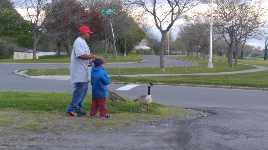 Duck Island | 3200 Pine Ave, Niagara Falls, NY 14301, USA