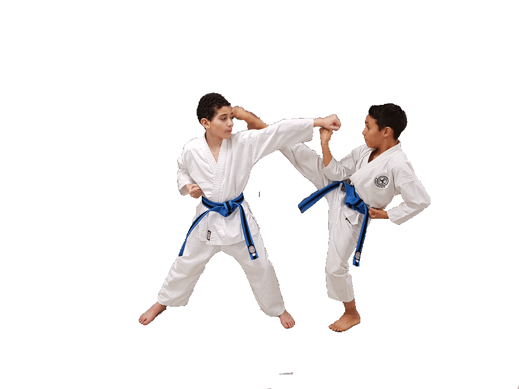 Terwillegar Genbukai Karate | 2051 Leger Rd NW, Edmonton, AB T6R 0R8, Canada | Phone: (780) 722-7960
