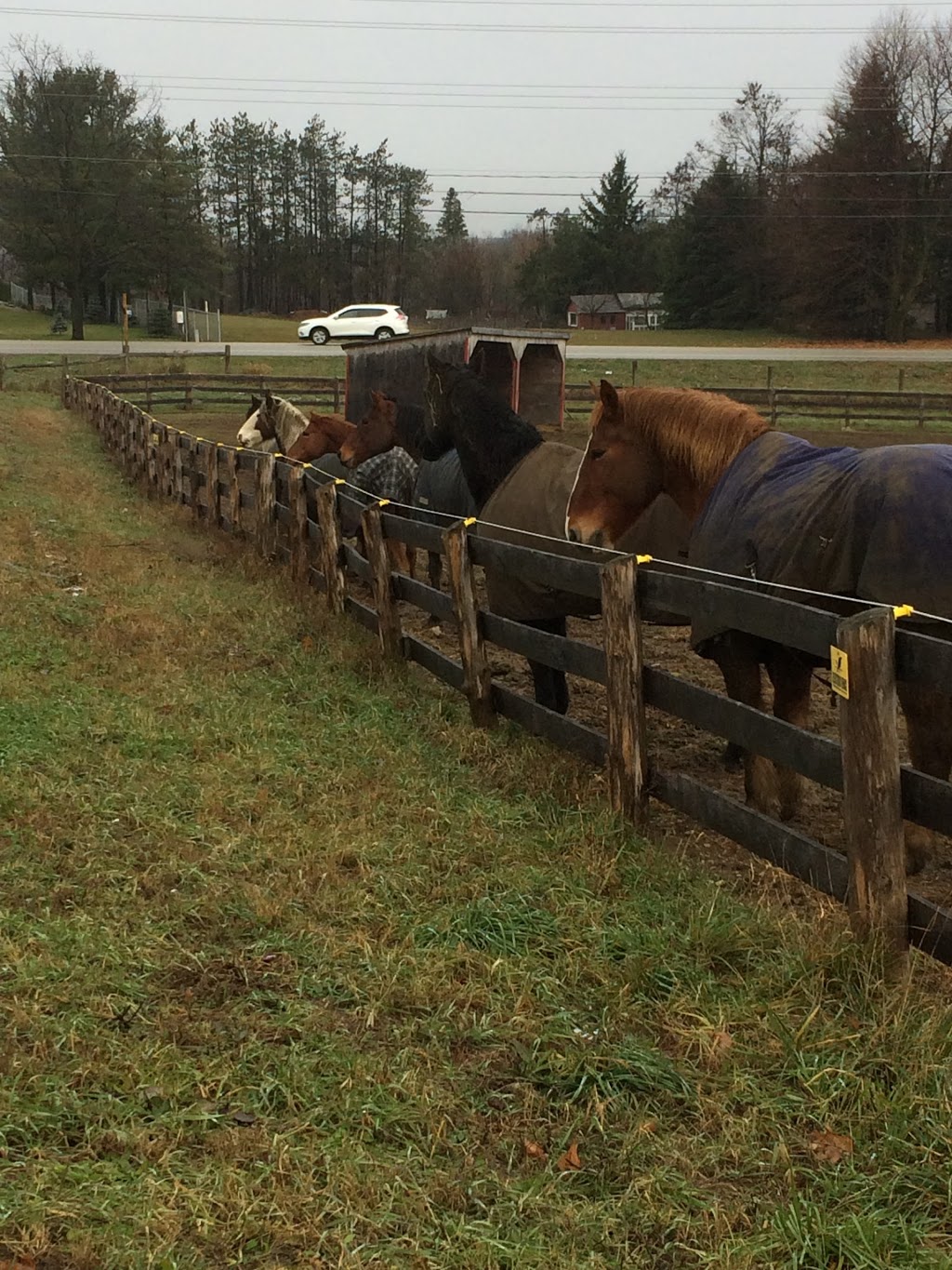 Jäger Ranch | 1209a Snyders Rd E, Baden, ON N3A 3J5, Canada | Phone: (519) 729-6525