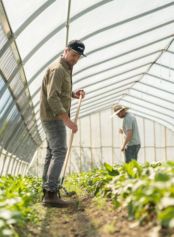 Growers and Co. | 3535 Bd Sainte-Anne Suite 300, Québec, QC G1E 3L6, Canada | Phone: (418) 524-4443