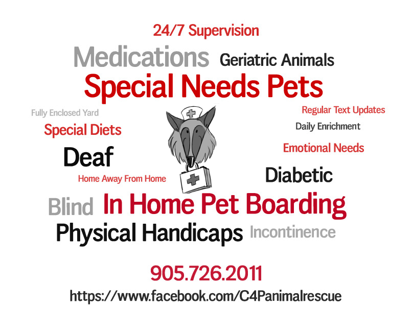 C4P Special Needs Pet Boarding | 63 Victoria St, Aurora, ON L4G 1R3, Canada | Phone: (905) 726-2011