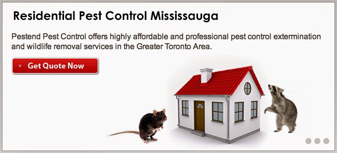 Pestend Pest Control | 4839 Dovehouse Dr, Mississauga, ON L5M 7K7, Canada | Phone: (416) 749-9206