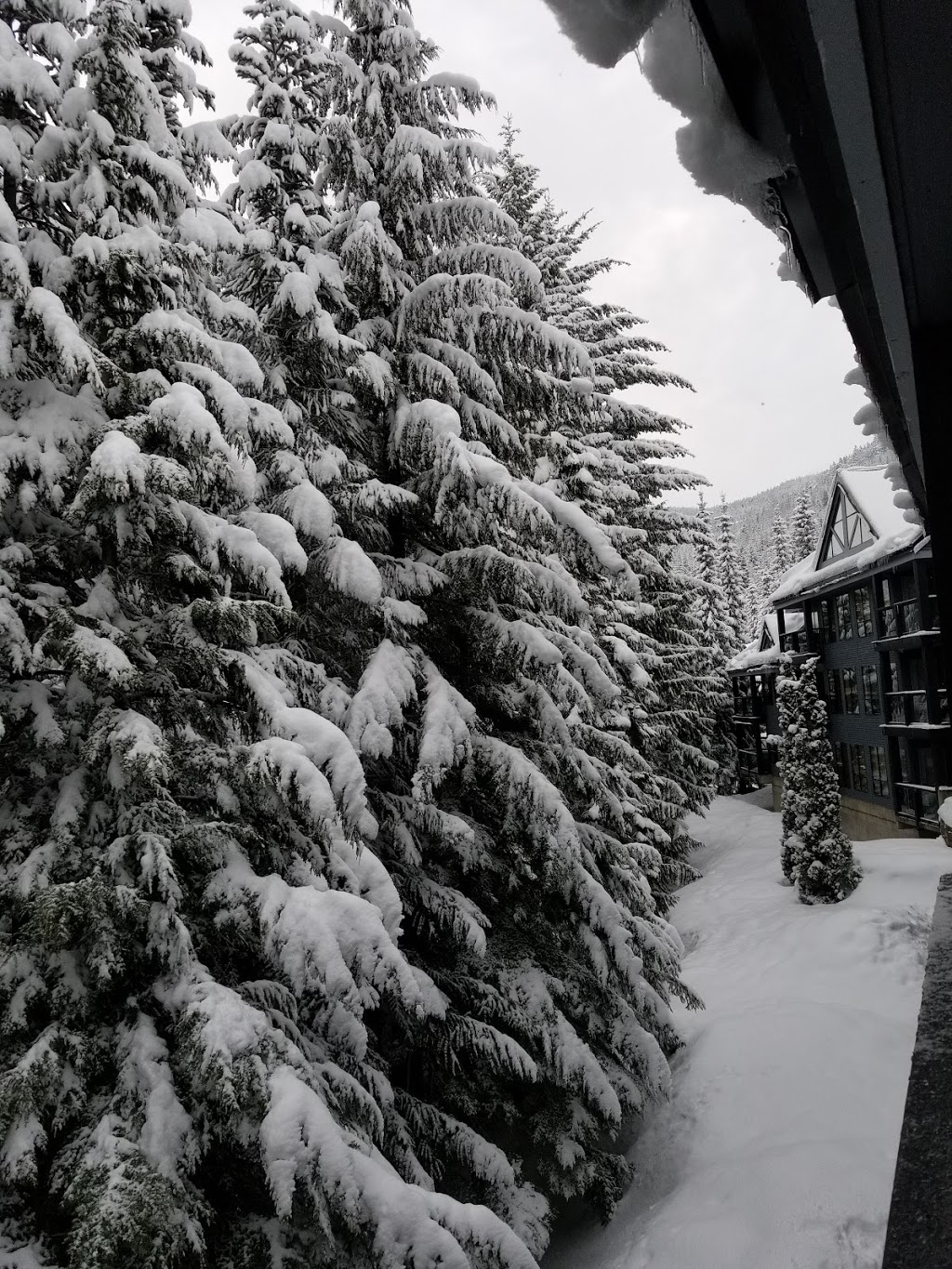 POWDERHORN by Holiday Whistler | 4821 Spearhead Dr, Whistler, BC V0N 1B4, Canada | Phone: (604) 932-2038