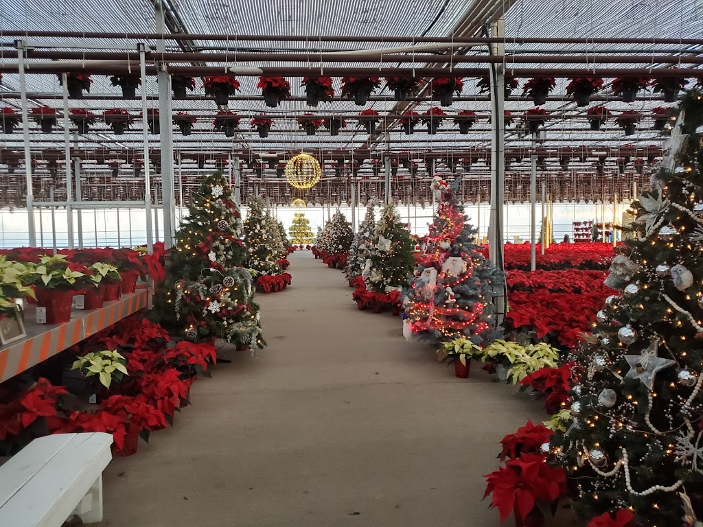 Forest Glen Greenhouse | 664 Brentwood Rd, Brookfield, NS B0N 1C0, Canada | Phone: (902) 673-3387