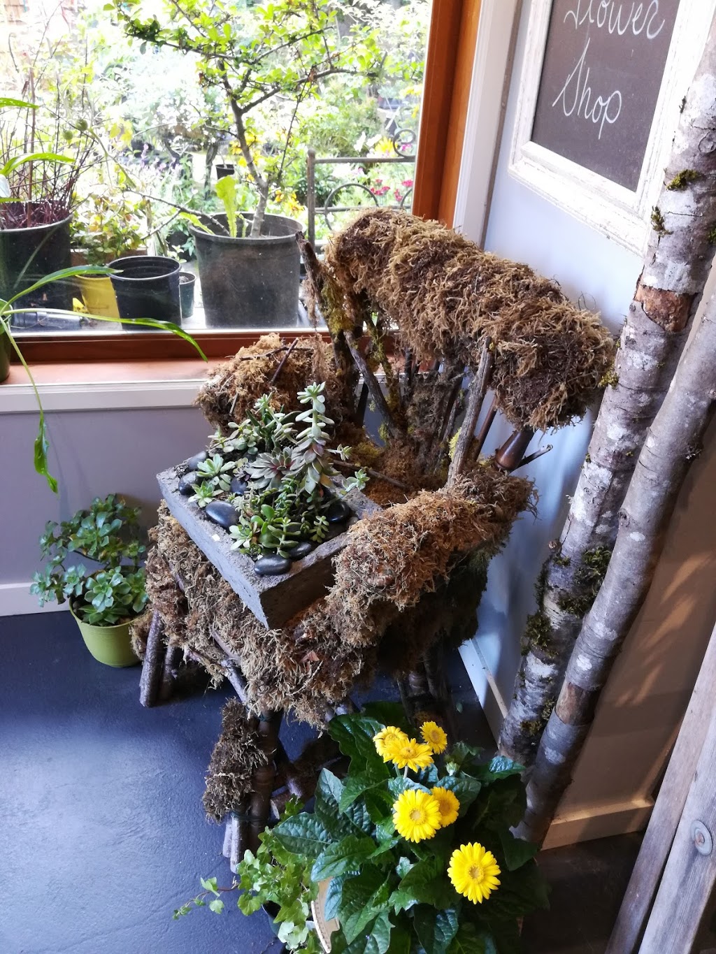 Bowen Island Flower Shop | 559 Artisan Ln, Bowen Island, BC V0N 1G0, Canada | Phone: (604) 947-2278