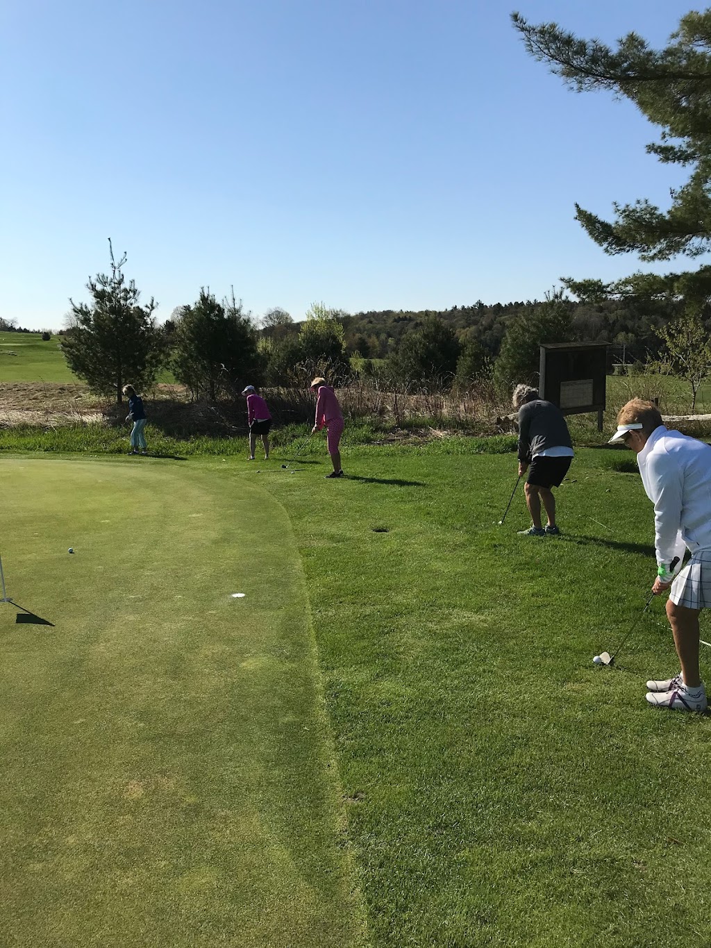 Denver Dafoe Golf Academy | 1036 S Monck Dr, Bracebridge, ON P1L 1W8, Canada | Phone: (705) 646-1060
