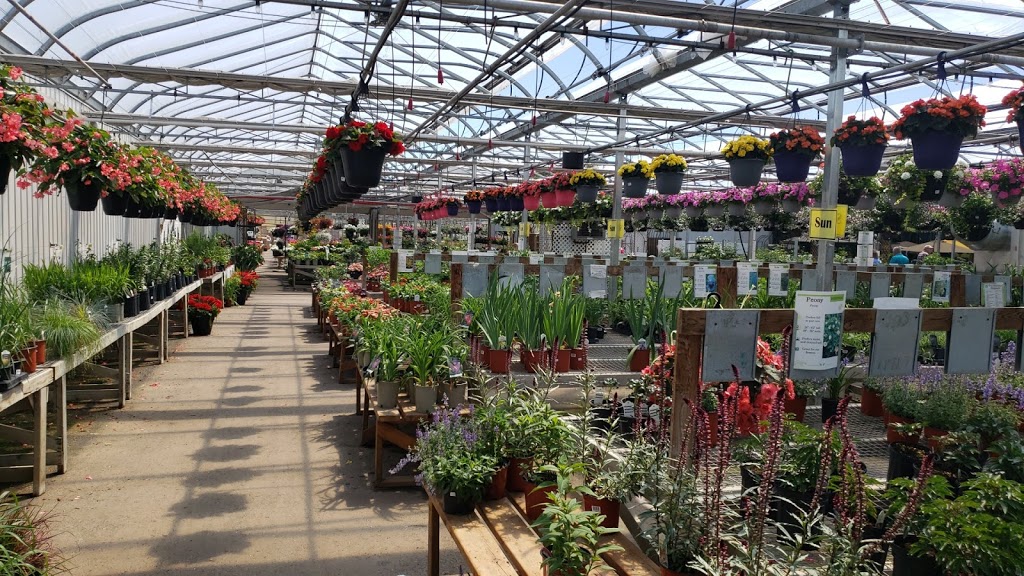 Vanderwees Garden Gallery | 6488 Mapleward Rd, Thunder Bay, ON P7G 2J9, Canada | Phone: (807) 767-3666