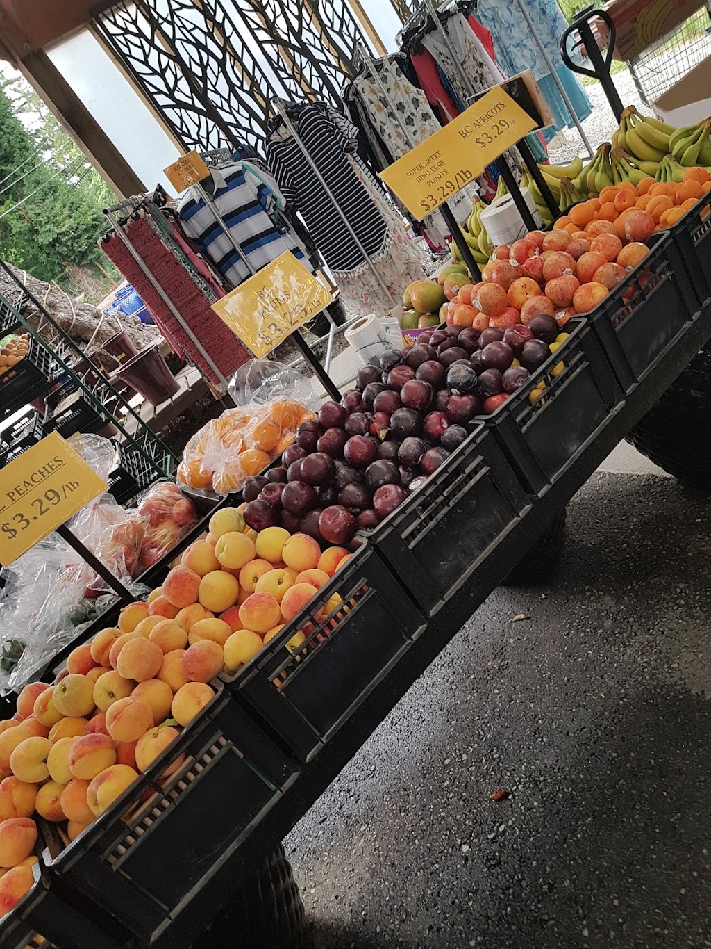 Naesgaards Farm & Market | 5681 River Rd, Port Alberni, BC V9Y 6Z4, Canada | Phone: (250) 723-3622