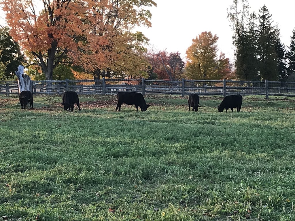 Chickadee Hill Farm | 18249 Shaws Creek Rd, Alton, ON L7K 1L2, Canada | Phone: (519) 350-6411