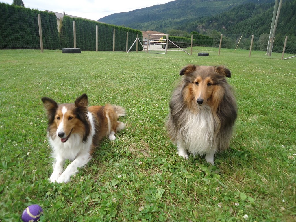 Shuswap Pet Resort | 2170 Cambie Solsqua Rd, Sicamous, BC V0E 2V5, Canada | Phone: (250) 253-3155
