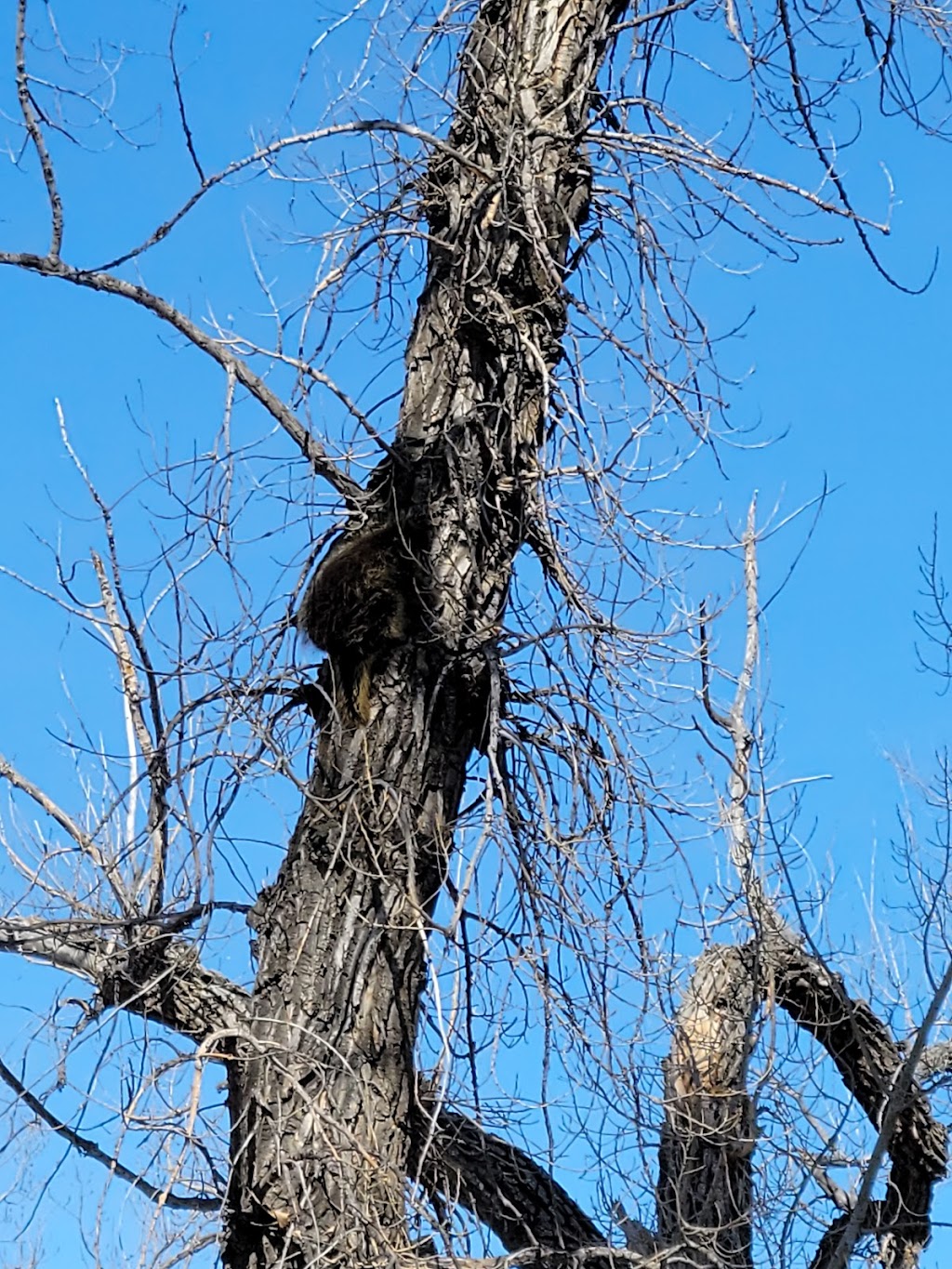 Lethbridge Nature Reserve | 300 Indian Battle Rd S, Lethbridge, AB T1J 0P6, Canada | Phone: (403) 320-3064