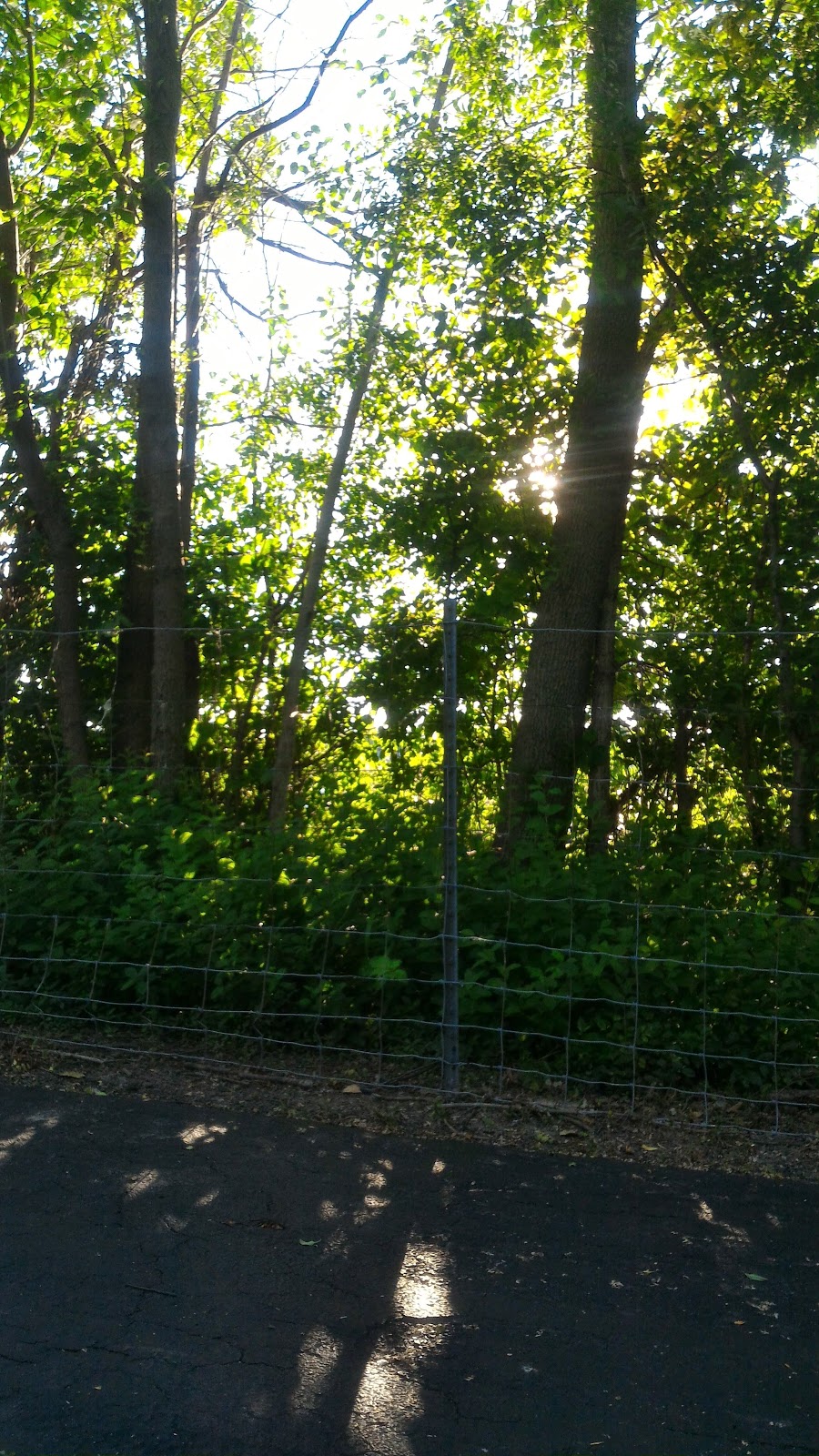 Willow Ridge Park | Buffalo, NY 14228, USA