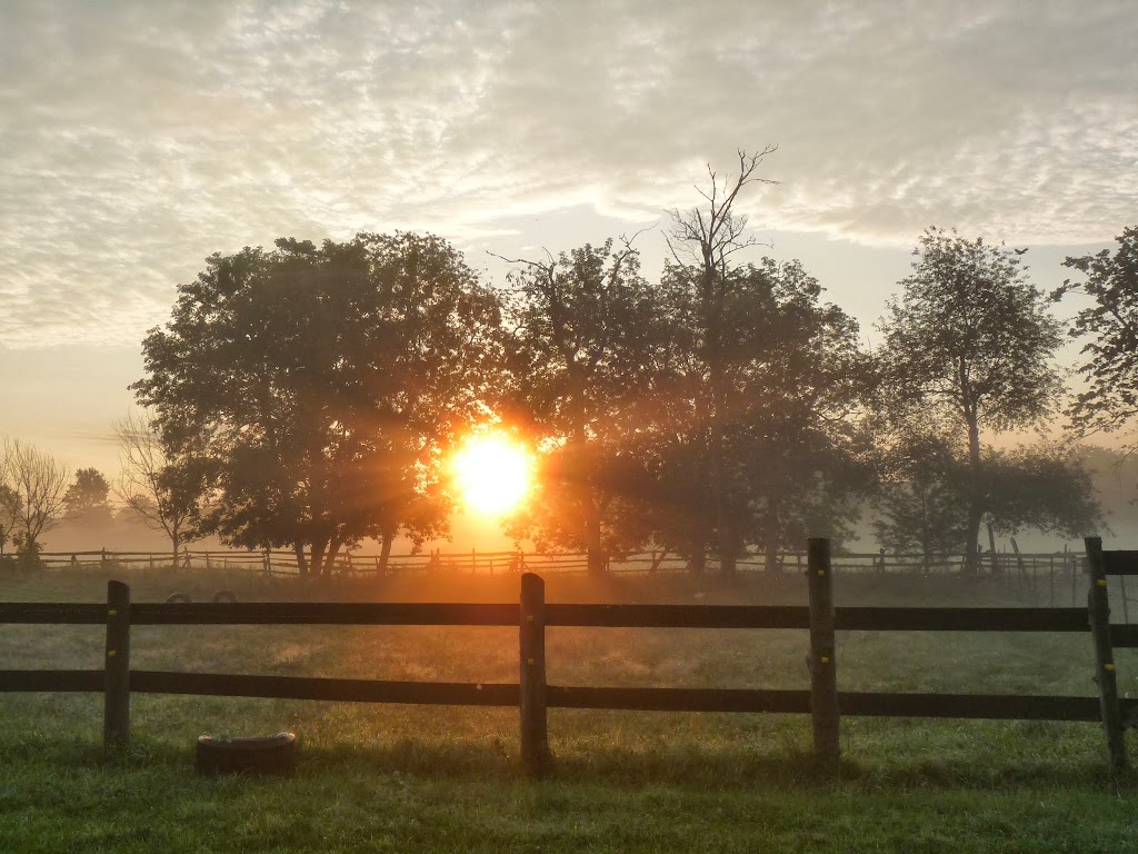 Locksley Farm and Kennel | 3181 Sydenham Rd, Elginburg, ON K0H 1M0, Canada | Phone: (613) 546-1352