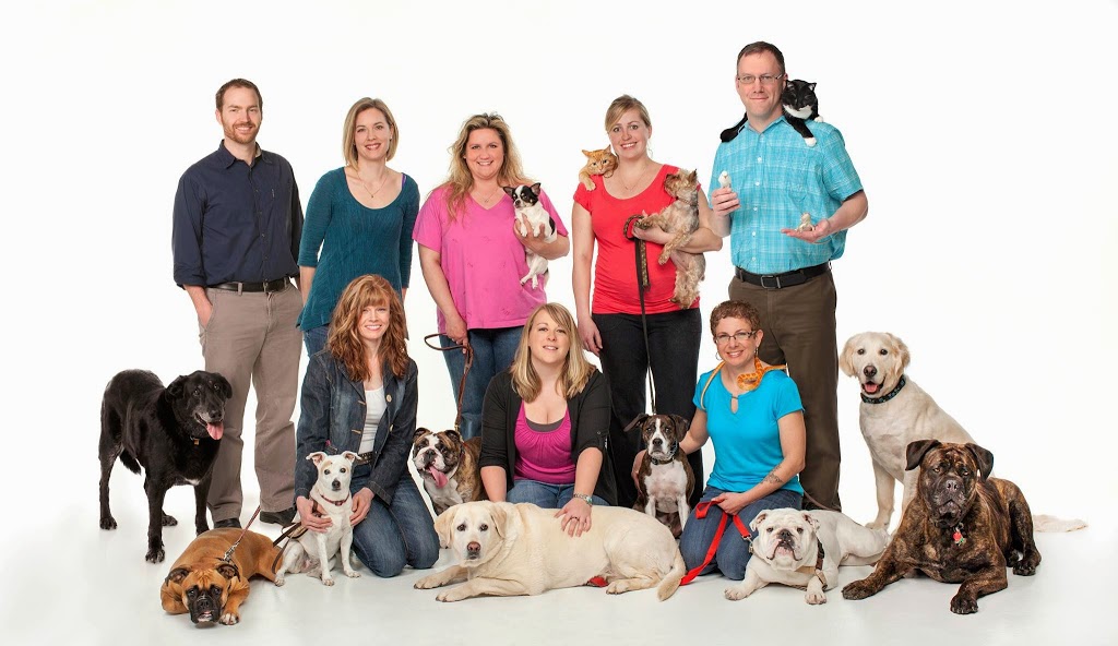 West London Pet Hospital | 760 Hyde Park Rd, London, ON N6H 5W9, Canada | Phone: (519) 641-2999