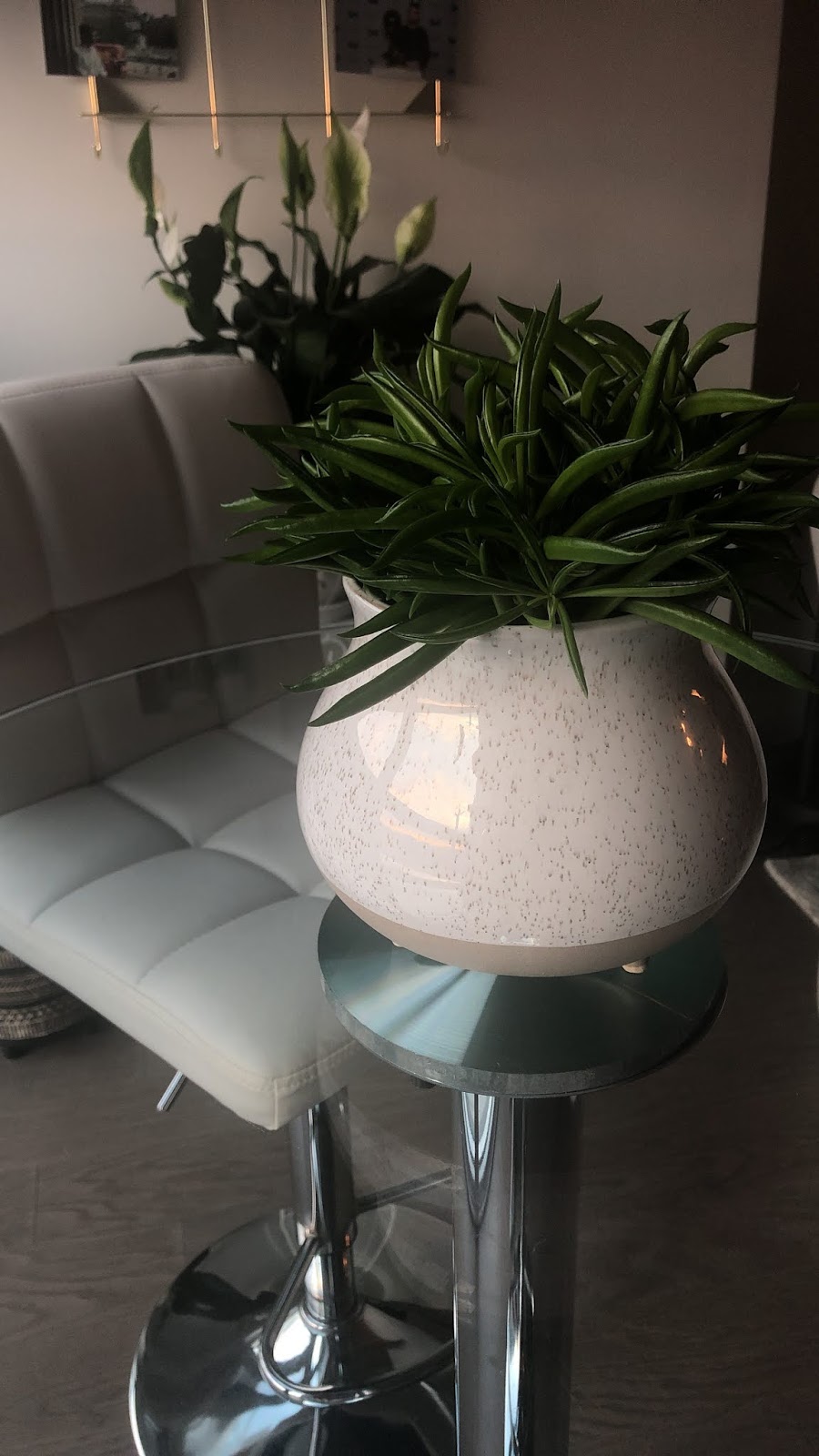 Urban Gardener | 1640 Dupont St, Toronto, ON M6P 3T2, Canada | Phone: (905) 626-6281
