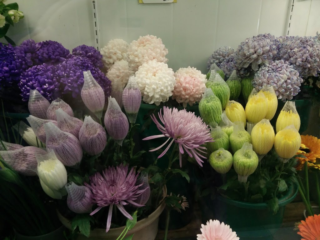 Toronto Florists 4913 Bathurst St, North York, ON M2R 1X8, Canada