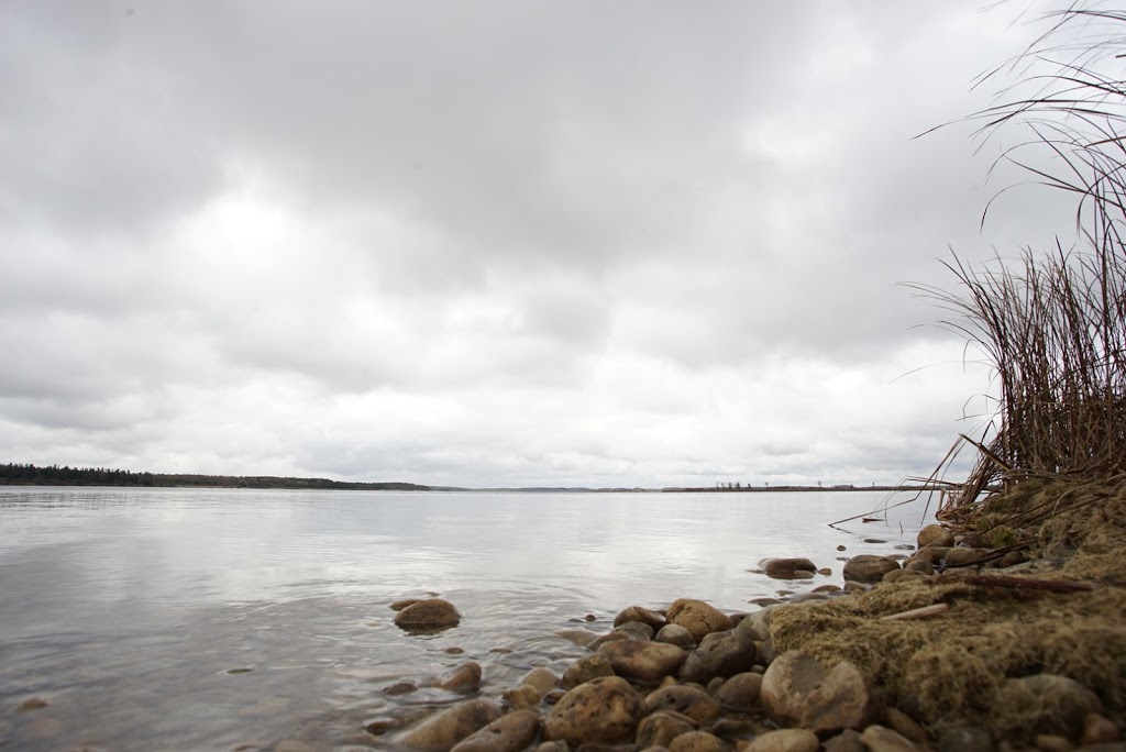 Luther Marsh Wildlife Management Area | 034588 21 Side Road, Grand Valley, ON L9W 0H2, Canada | Phone: (519) 928-2832