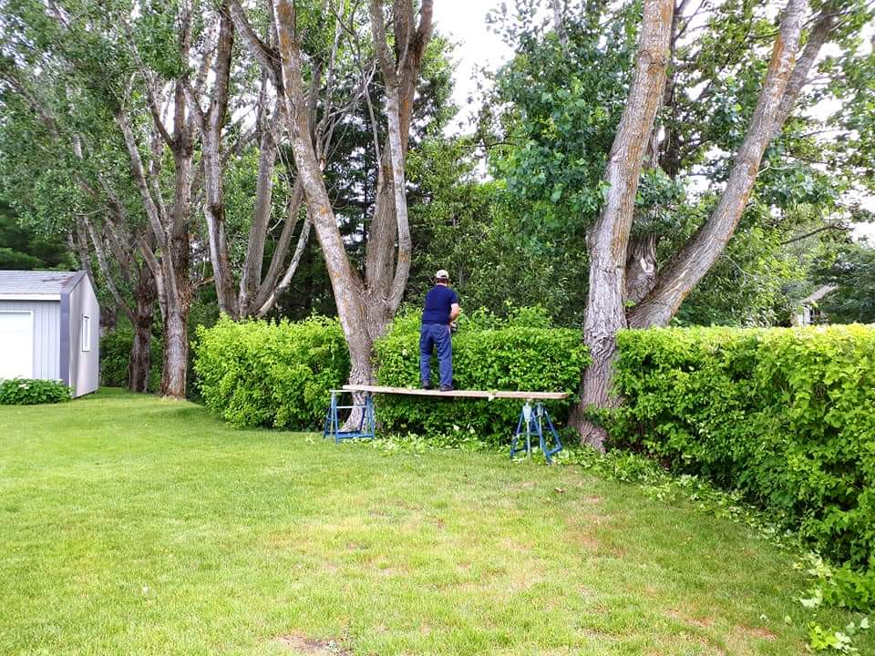 Maritza Roy Horticultrice | 738 Rte de St Vallier, Saint-Vallier, QC G0R 4J0, Canada | Phone: (418) 998-2117