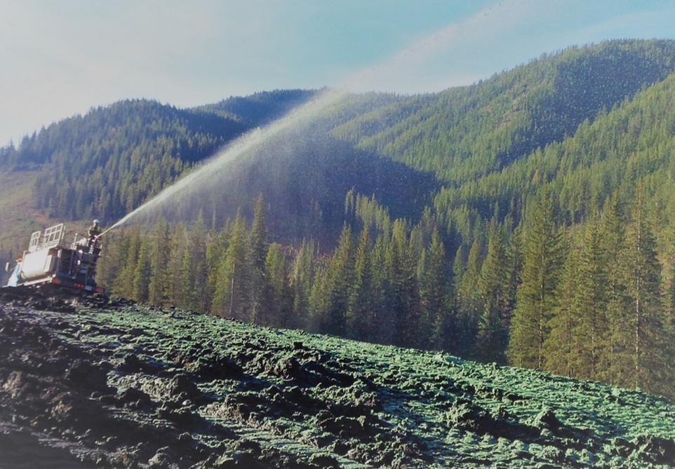 Interior Reforestation Co Ltd | 4500 Mennie Rd, Cranbrook, BC V1C 4J6, Canada | Phone: (800) 332-8814